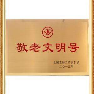 全国敬老文明号